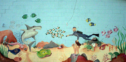 Wahoo Swimming Pool Mural